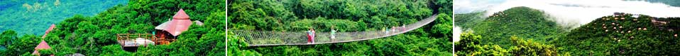 亚龙湾人间天堂鸟巢(cháo)度假村